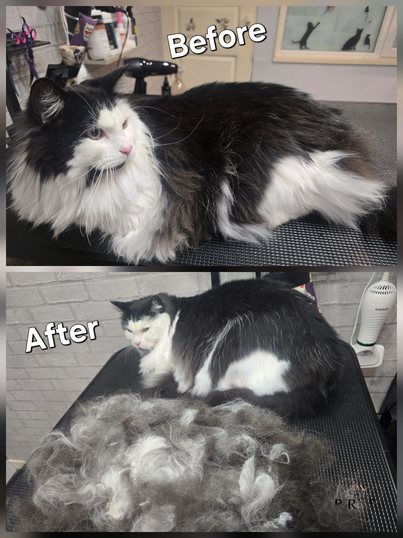 Shedding treatment