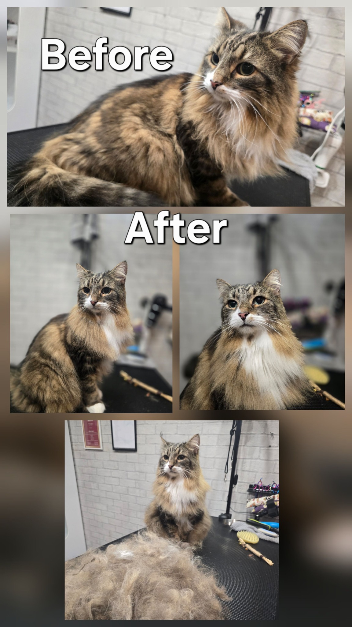 Full groom portrait — placeholder
