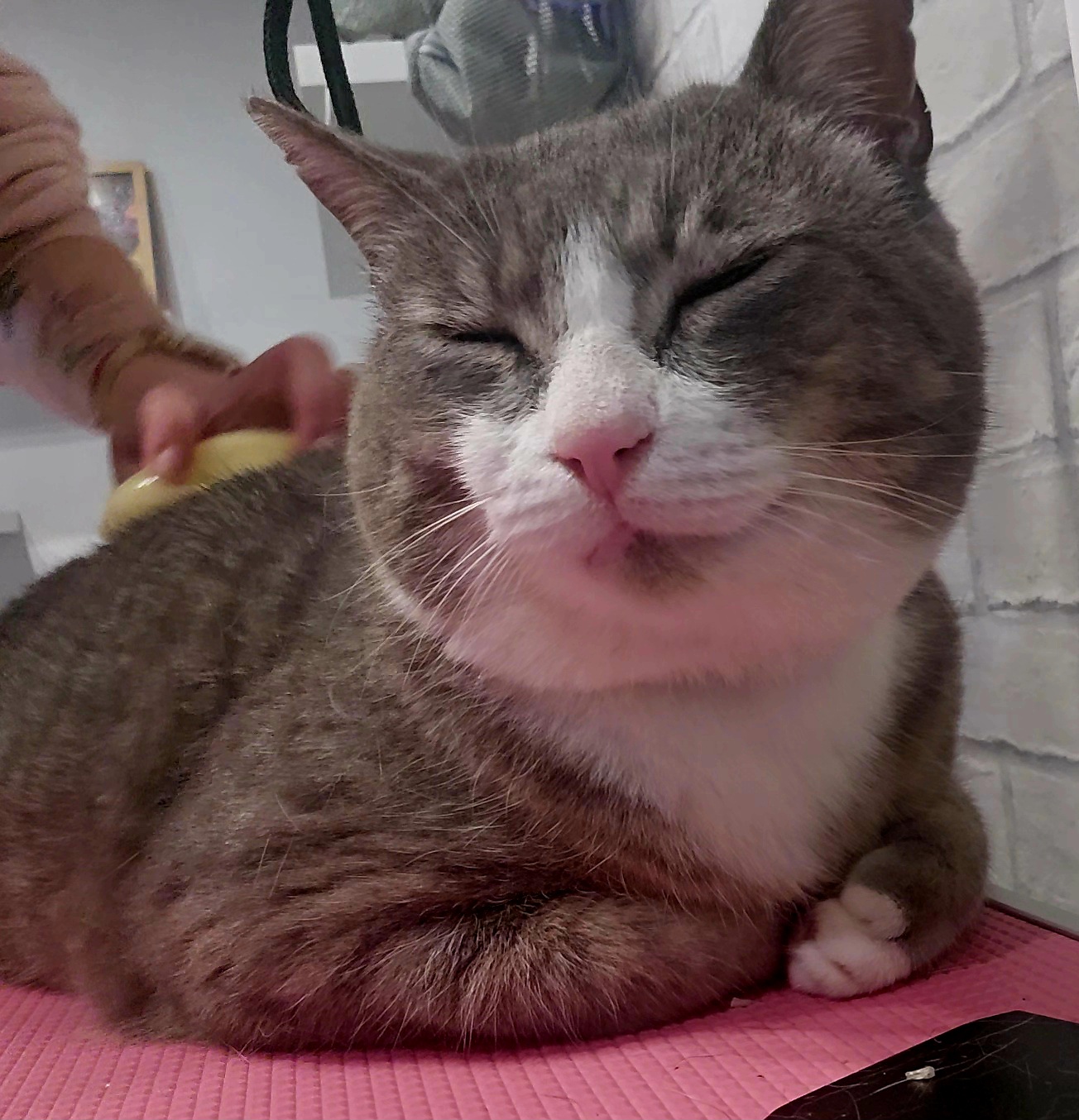 Nail trim